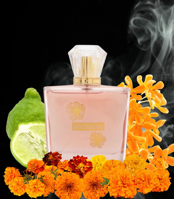 Leon Hector Enclosure Pour Femme Eau De Parfum 100ML is a Floral Woody Musk fragrance for women_top